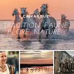 L'etang De L'or *joli T2 * A 10 Min * Proche Montpellier Lägenhet Carnon-Plage